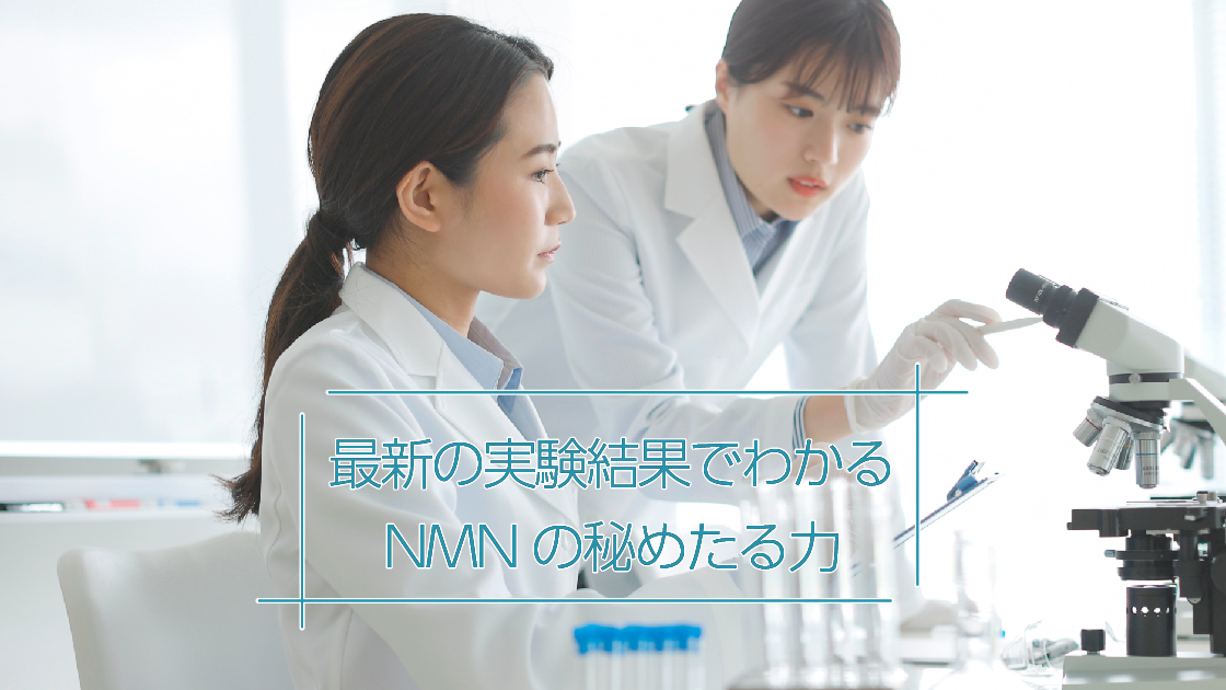 健康美容コラム：-40歳も夢じゃない？最新の実験結果でわかるNMNの秘めたる力